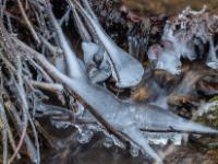 Dick mit Eispanzer überzogene Zweige über dem Zellgrabenbach